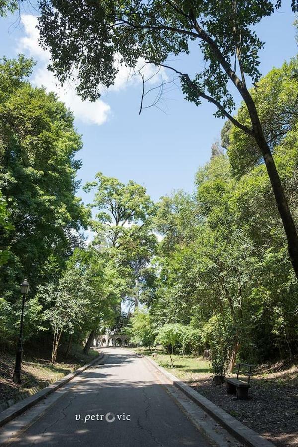 Cherry Apartment Corfu コルフ島 エクステリア 写真
